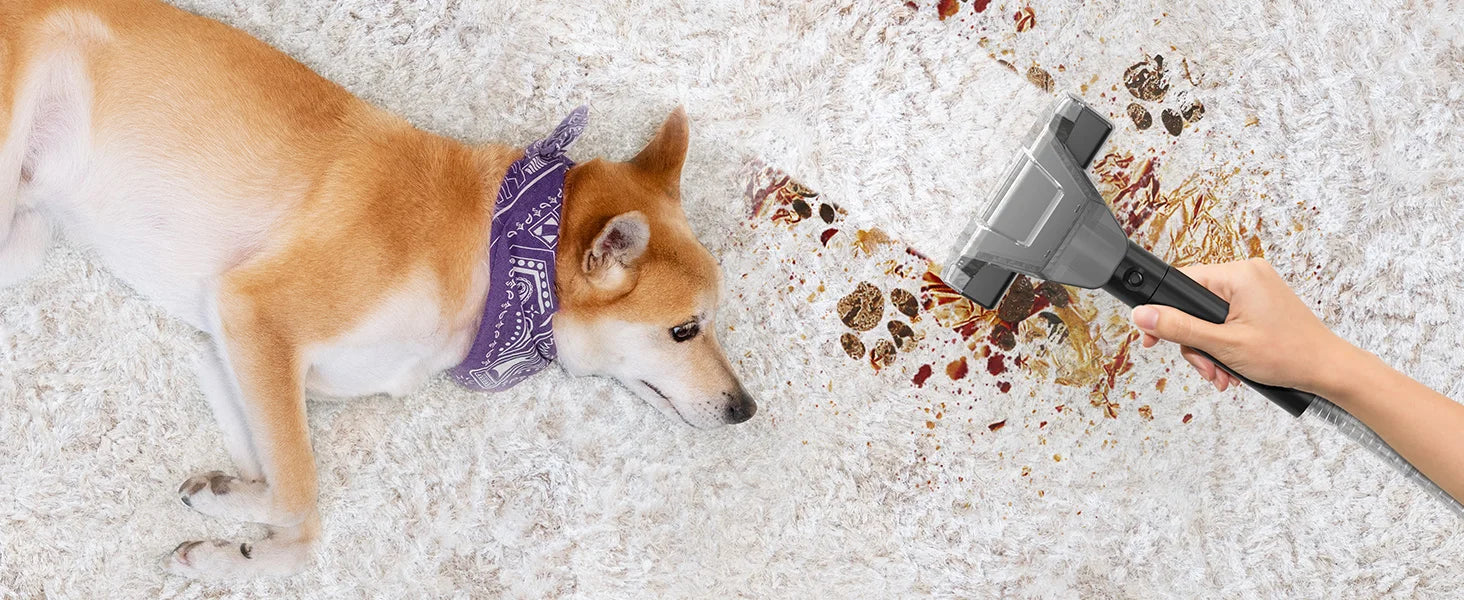 TASVAC C7 Portable Carpet & Upholstery Cleaner Machine, Spot And Stain Deep Cleaner With Two Brushes & Remover Formula For Pets,