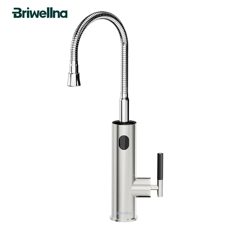 Briwellna Electric Water Heater Flowing Universal Spout Kitchen Faucet 2 in 1 Stainless Steel Electric Faucet 220V Heating Tap
