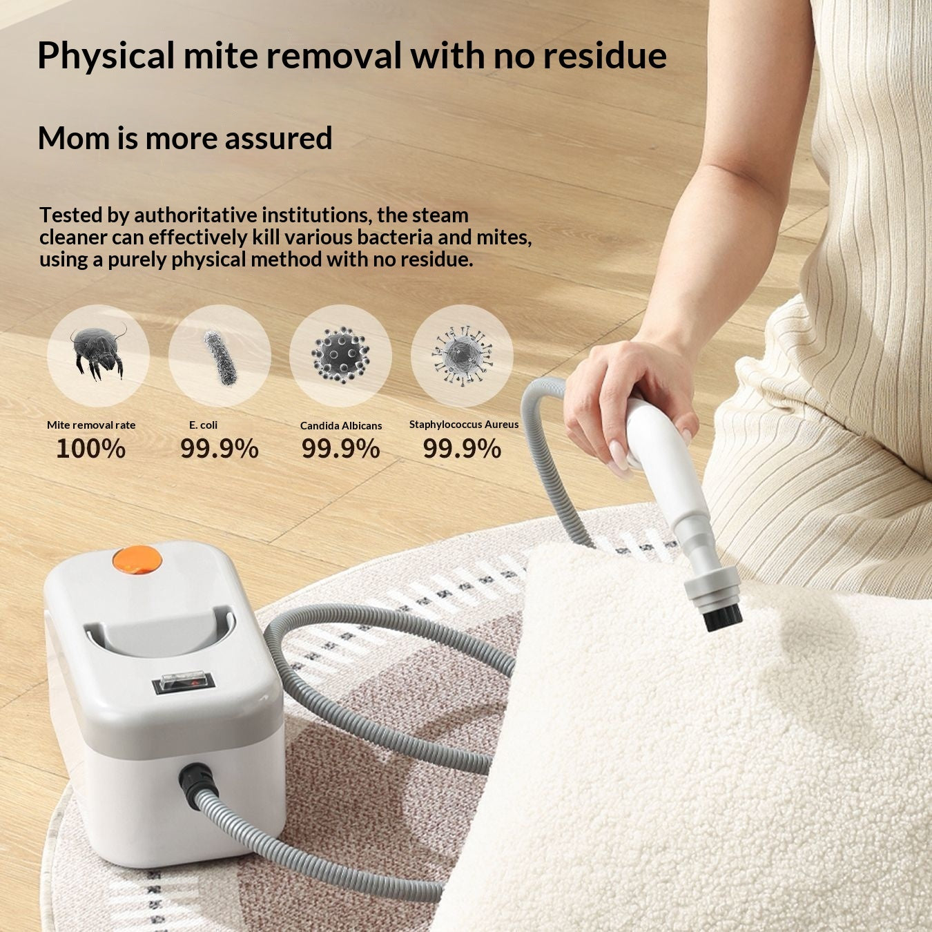 Portable Handheld High-temperature High-pressure Steam Cleaner