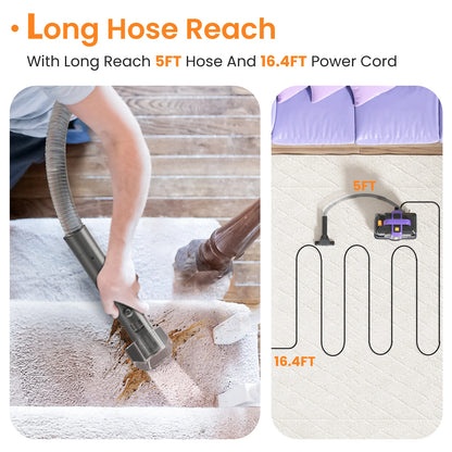 TASVAC C7 Portable Carpet &amp; Upholstery Cleaner Machine, Spot And Stain Deep Cleaner With Two Brushes &amp; Remover Formula For Pets,