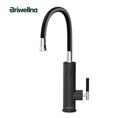 Briwellna Electric Water Heater Flowing Universal Spout Kitchen Faucet 2 in 1 Stainless Steel Electric Faucet 220V Heating Tap