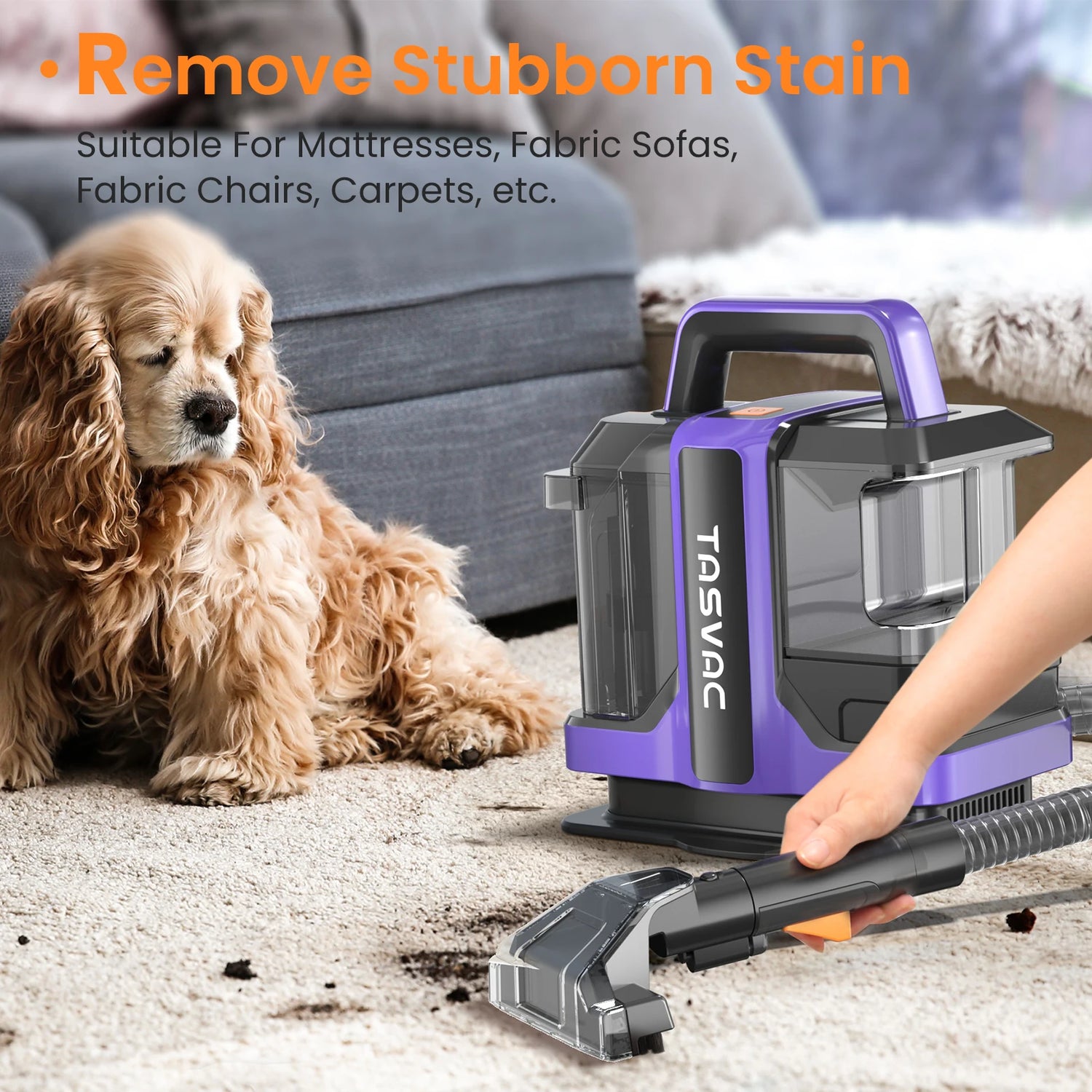 TASVAC C7 Portable Carpet &amp; Upholstery Cleaner Machine, Spot And Stain Deep Cleaner With Two Brushes &amp; Remover Formula For Pets,